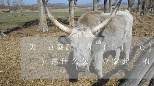 欠錢立案起訴的標(biāo)準(zhǔn)是什么（欠錢立案起訴的標(biāo)準(zhǔn)）