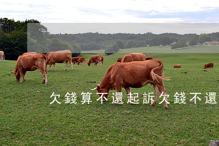 欠錢算不還起訴(欠錢不還起訴是民事訴訟嗎)