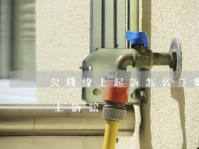 欠錢線上起訴怎么立案(欠錢網(wǎng)上訴訟)