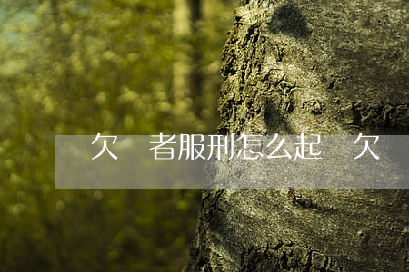 欠錢者服刑怎么起訴(欠債人服刑,到哪里起訴)