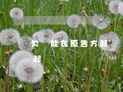 欠錢能在原告方起訴嗎法院（欠錢能在原告方起訴嗎）