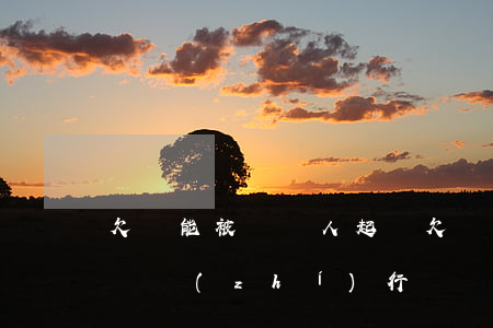 欠錢能被幾個人起訴(欠錢被幾個人起訴怎么樣執(zhí)行財產(chǎn))
