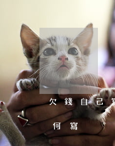 欠錢自己寫起訴狀法院受理嗎(欠錢起訴狀如何寫)