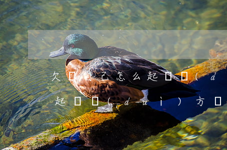欠錢自己怎么起訴對(duì)方(欠錢怎么起訴對(duì)方,電話錄音可以嗎)