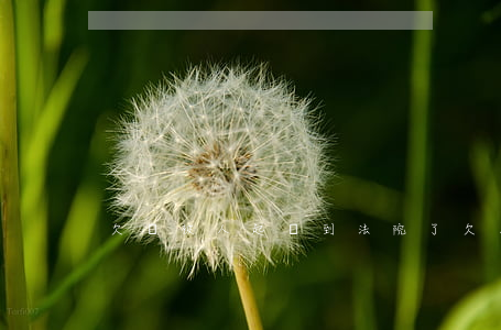 欠錢被人起訴到法院了(欠人錢被人起訴)