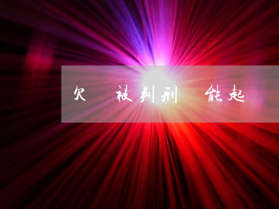 欠錢被判刑還能起訴嗎