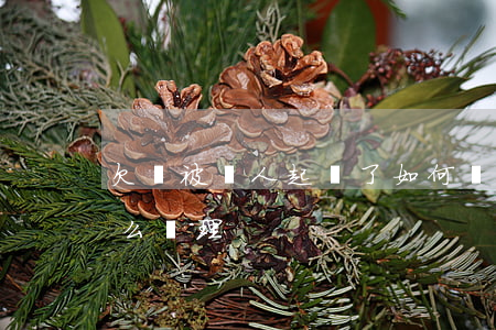 欠錢被別人起訴了如何處理(欠錢被起訴了怎么處理)