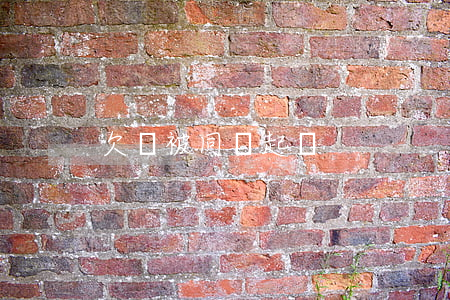 欠錢被同時起訴