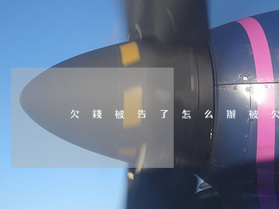 欠錢被告了怎么辦(被欠錢如何起訴)