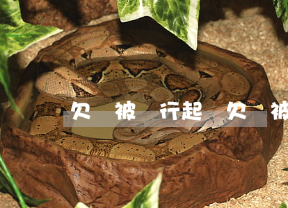 欠錢被強行起訴(欠錢被強行起訴怎么辦)