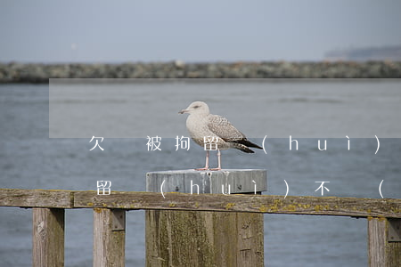 欠錢被拘留會(huì)留案底嗎(欠債被拘留會(huì)不會(huì)留案底)