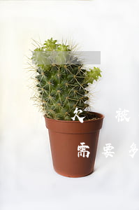 欠錢被拘留起訴需要多少錢(欠錢被拘留起訴需要多少錢才能立案)