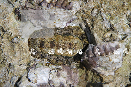 欠錢被提前起訴(欠錢被提前起訴會怎么樣)