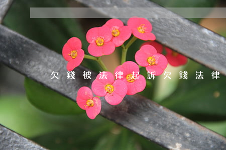 欠錢被法律起訴(欠錢法律起訴費用多少錢)