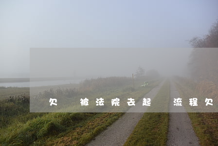欠錢被法院去起訴流程 欠款被法院起訴怎么辦