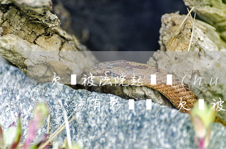 欠錢被法院起訴會(huì)對(duì)小孩有影響嗎-欠錢被法院起訴會(huì)對(duì)小孩有影響嗎知乎