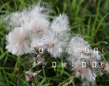 欠錢被法院起訴會(huì)有什么后果(欠多少錢被起訴會(huì)有什么后果)