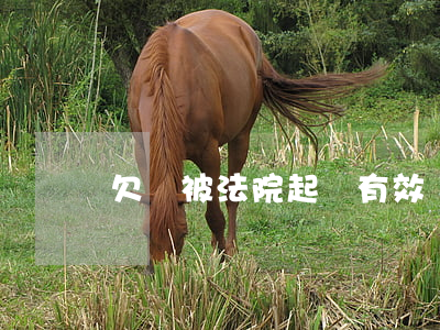 欠錢被法院起訴有效嗎