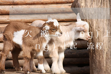 欠錢被網(wǎng)上起訴-欠錢網(wǎng)上起訴流程