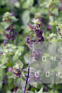 欠錢被起訴不上訴 欠錢不還起訴成功法院怎樣處理