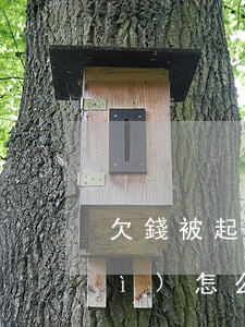 欠錢被起訴不到場(chǎng)會(huì)怎么樣（欠錢起訴欠錢人不來(lái)）