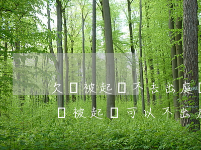 欠錢被起訴不去出庭會(huì)怎么樣(欠錢被起訴可以不出庭嘛)