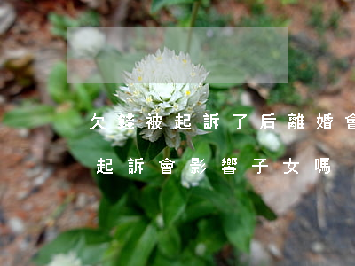 欠錢被起訴了后離婚會影響孩子嗎-欠錢被起訴會影響子女嗎