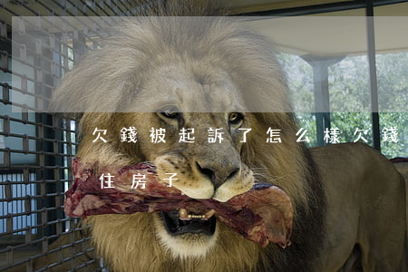 欠錢被起訴了怎么樣(欠錢被起訴怎么樣能保住房子)