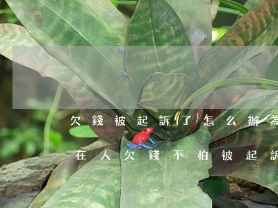 欠錢被起訴了怎么辦(為什么現(xiàn)在人欠錢不怕被起訴)（有沒有人欠錢被起訴）