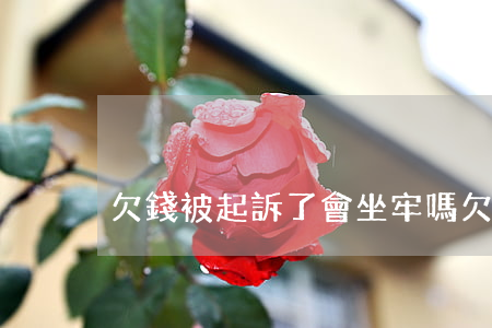欠錢被起訴了會坐牢嗎（欠錢被起訴有罰金嗎）