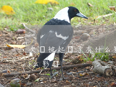 欠錢被起訴了有什么影響(欠錢被起訴了有什么影響)