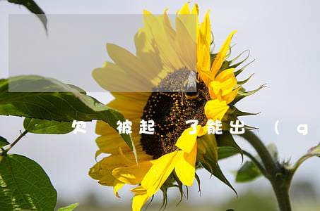 欠錢被起訴了能出國(guó)嗎