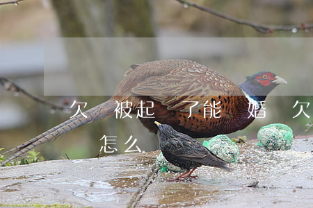 欠錢被起訴了能離婚嗎(欠錢被起訴了能離婚嗎怎么辦)