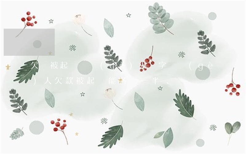 欠錢被起訴兩個(gè)人簽字(兩個(gè)人欠款被起訴能各還一半嗎)