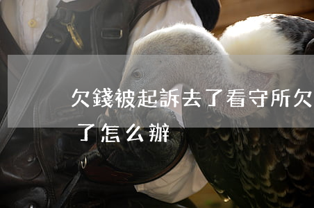 欠錢被起訴去了看守所(欠我錢的人進看守所了怎么辦)