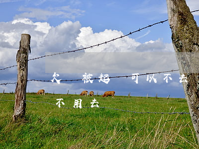 欠錢被起訴可以不去嗎(欠人家錢被起訴 可以不用去嗎)