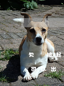 欠錢被起訴可以出境嗎(欠錢了.法院起訴了可以出國嗎)