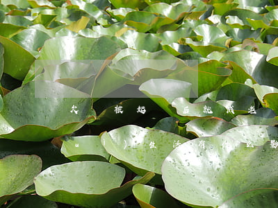 欠錢被起訴后就成老賴(被起訴成老賴對(duì)生活有什么影響)