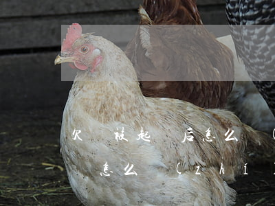 欠錢被起訴后怎么執(zhí)行(欠錢被起訴怎么執(zhí)行收入)