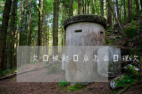 欠錢被起訴后怎么處理(欠錢被起訴后果怎樣)