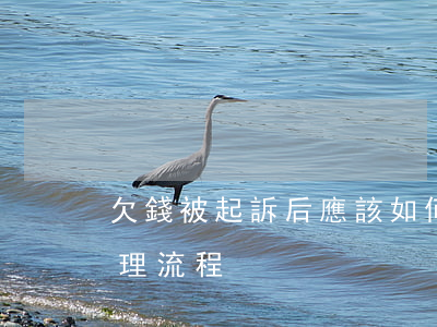 欠錢被起訴后應該如何處理（欠錢被起訴的處理流程）