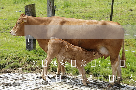 欠錢被起訴后經(jīng)調(diào)解還款算老賴嗎-欠錢被起訴后經(jīng)調(diào)解還款算老賴嗎知乎