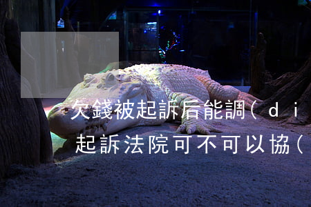 欠錢被起訴后能調(diào)解嗎(欠錢被起訴法院可不可以協(xié)商多久還完)