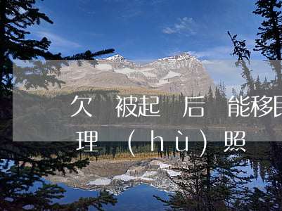 欠錢被起訴后還能移民出國(欠錢被起訴能辦理護(hù)照嗎)