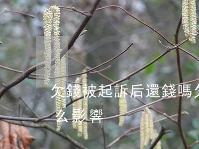 欠錢被起訴后還錢嗎(欠錢被起訴后還了有什么影響)
