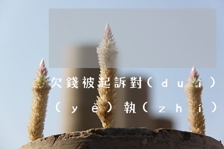 欠錢被起訴對(duì)營(yíng)業(yè)執(zhí)照有什么影響-欠錢被起訴對(duì)營(yíng)業(yè)執(zhí)照有什么影響嗎
