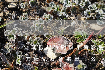 欠錢被起訴對孩子有影響嗎(欠錢被起訴后會怎樣兒女會被黑戶么)