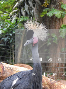欠錢被起訴就會(huì)上失信嗎（欠錢被起訴的人多么）