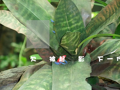 欠錢被起訴影響下一代