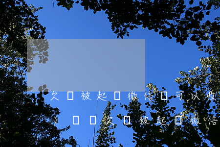 欠錢被起訴,微信還可以收到轉(zhuǎn)賬嗎（欠錢被起訴微信里的錢）